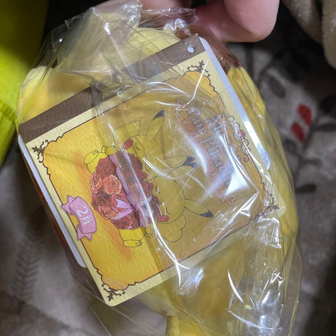 Monthly Pair Pikachu ぬいぐるみ　マンスリーペアピカチュウ