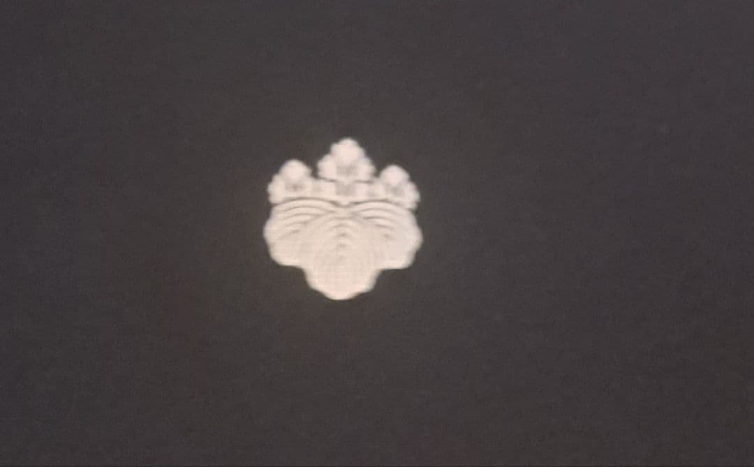 美品❇️豪華総刺繍黒留袖　比翼仕立て　 やまと誂製袋帯　フルセット