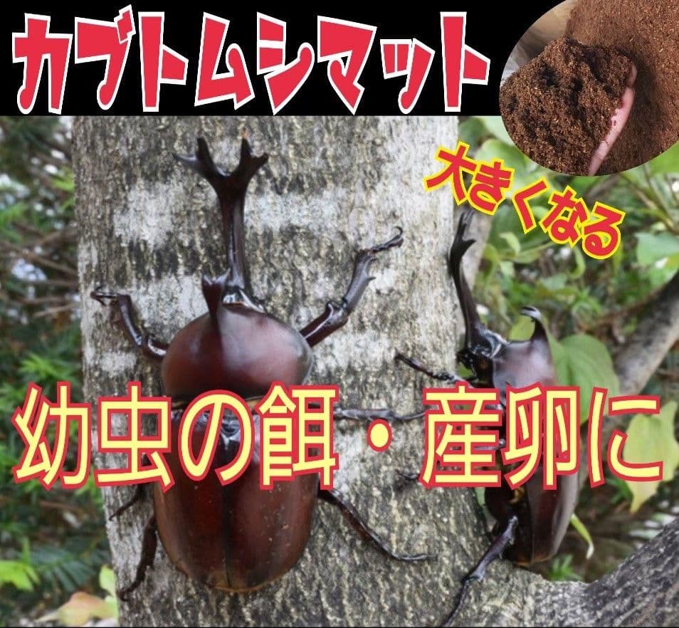 カブトムシ幼虫が大きくなる！産卵にも抜群です！ヒマラヤひらたけ発酵マット【6袋】