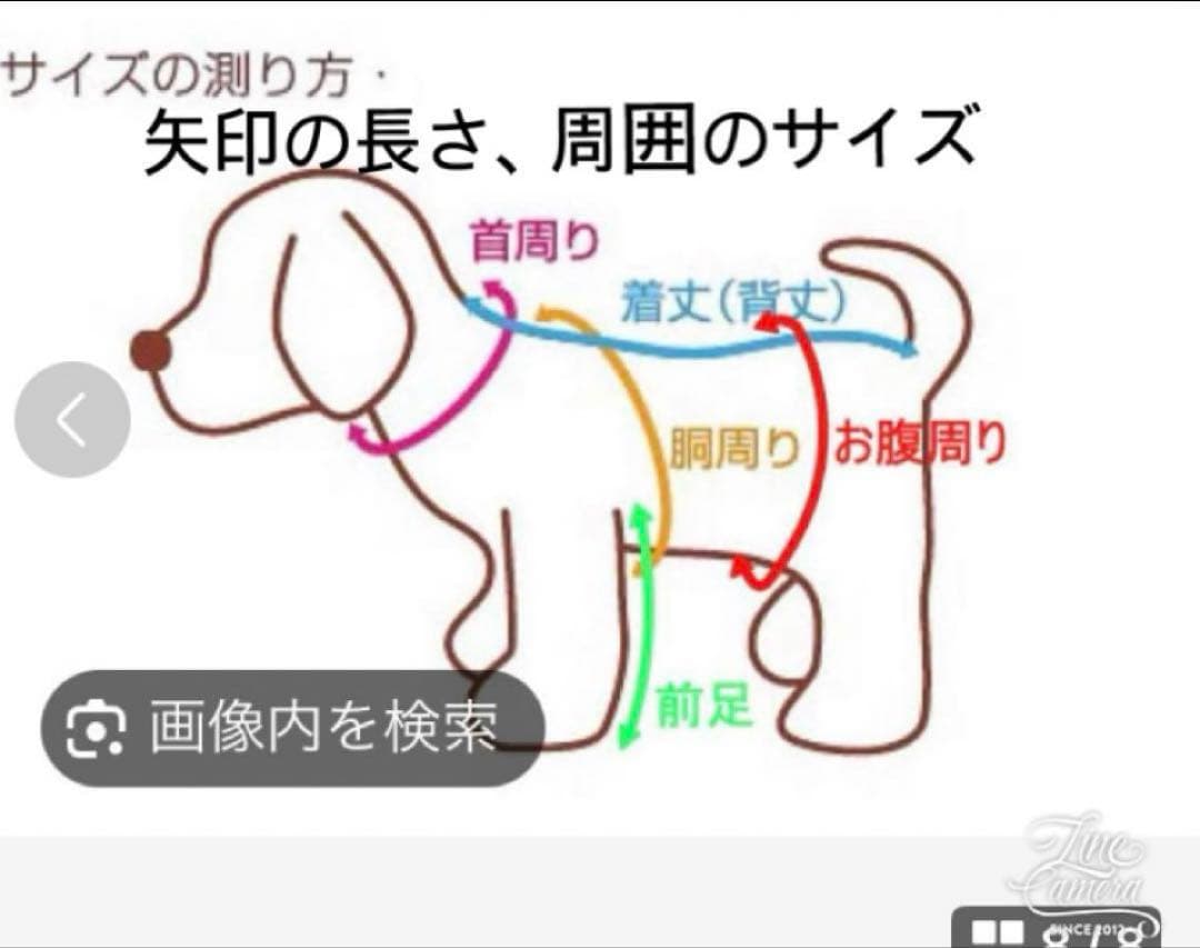 pon2pan2☆iina.2022.0107