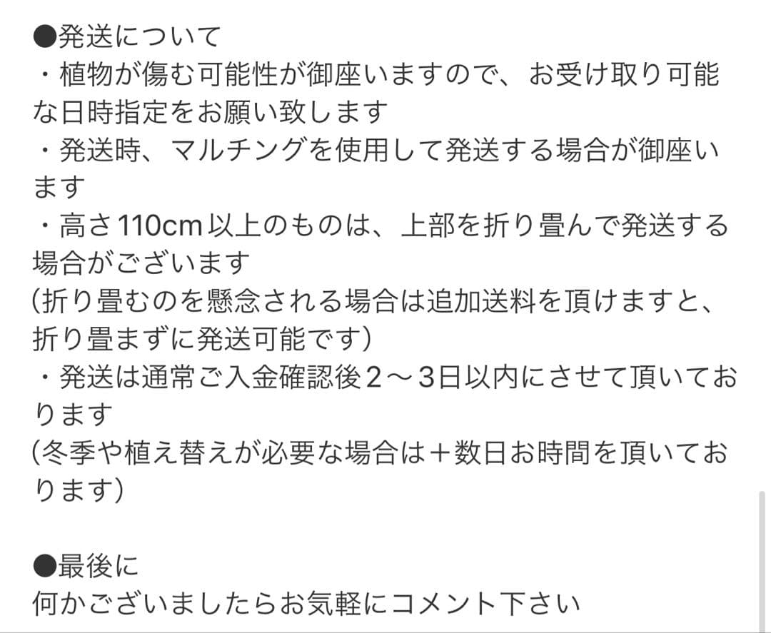 ［現品］16番　柱サボテン　鬼面角 ブランチ　8号　多肉植物　おしゃれ　人気