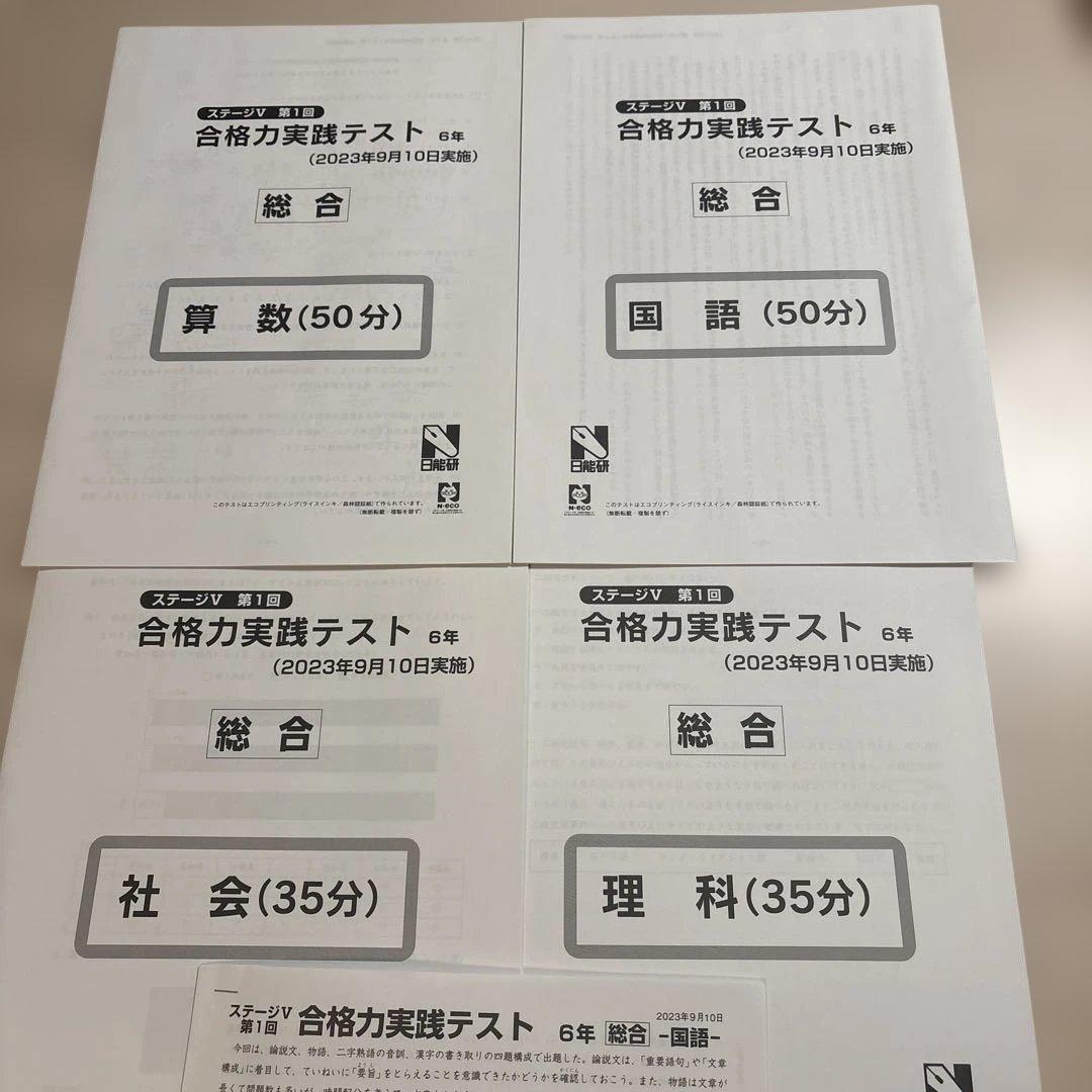 日能研6年　合格力育成テスト　合格力実践テスト　11回分　未使用含む