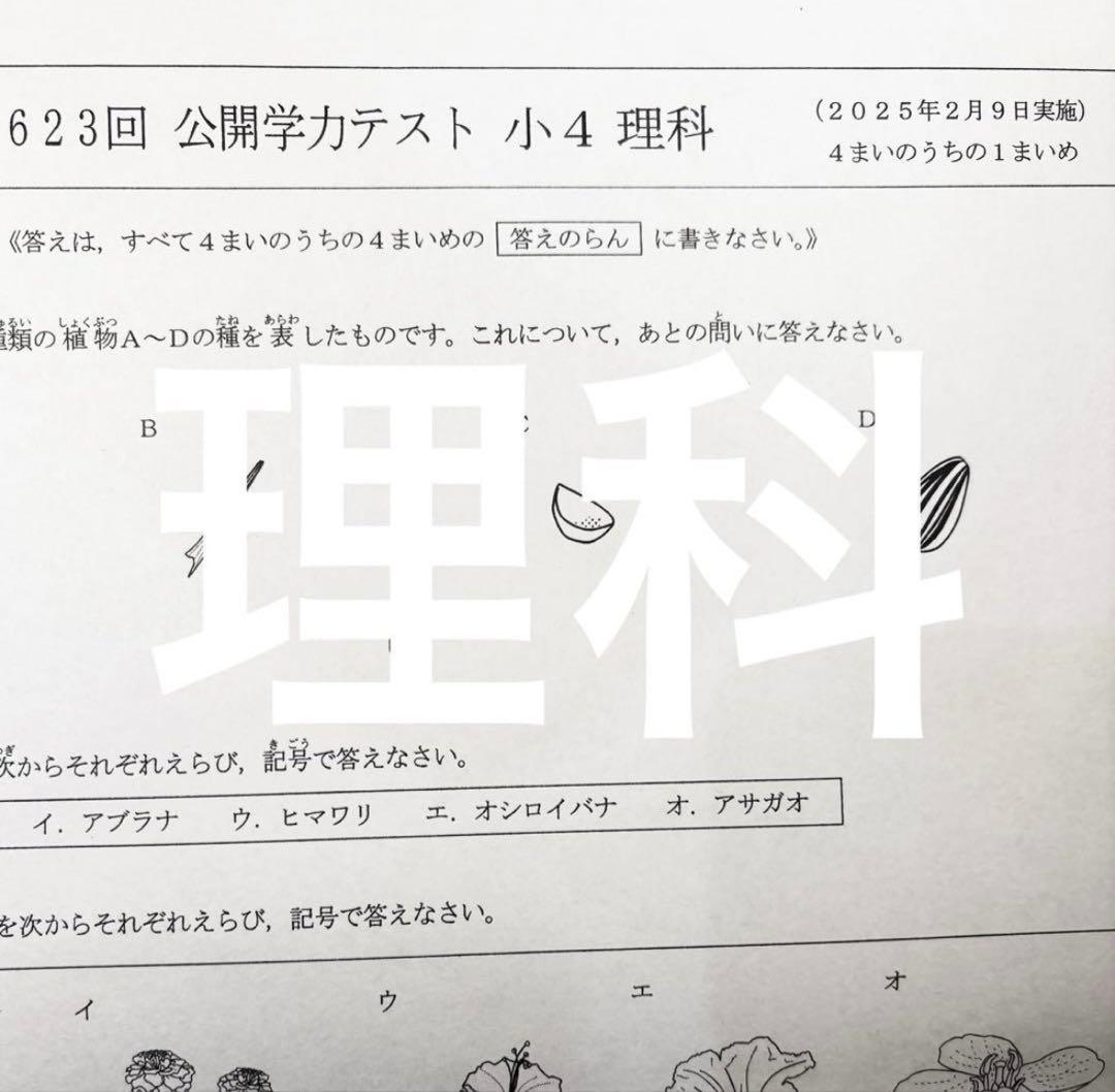 たえ様