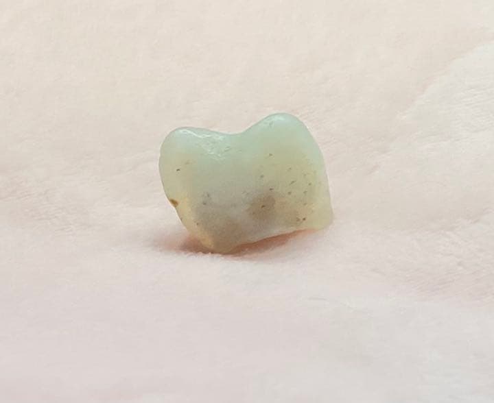 【珍品】京都府産　めのう　原石　歯　国産鉱物　標本　メノウ　瑪瑙