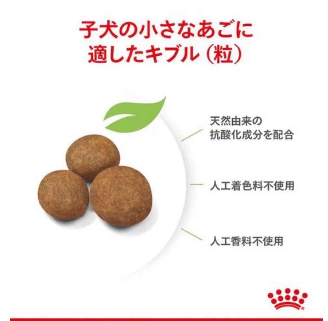 ロイヤルカナン マキシパピー 16kg 大型犬 子犬用※新品未開封