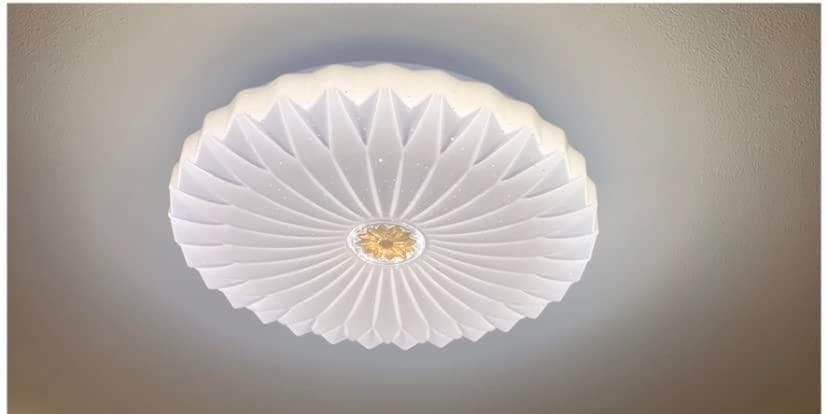 シーリングライト リモコン 星空効果8畳10畳 心に咲く蓮の花