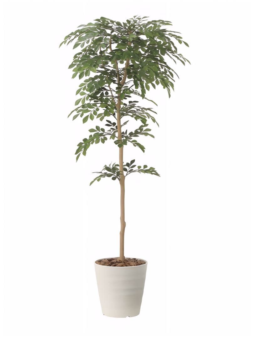 光触媒　人工観葉植物　ウォールグリーン　フェイクグリーン　トネリコ1.3