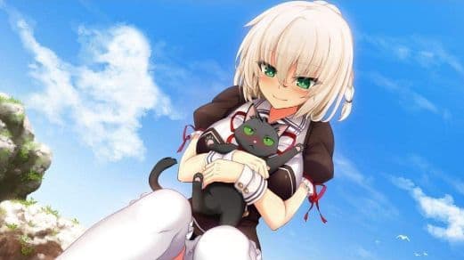 美品・未開封　ノラと皇女と野良猫ハート HD ＆２セット　Switchセット