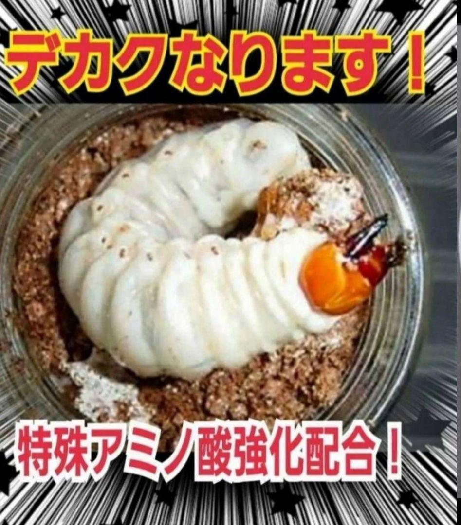 オオヒラタケ菌糸瓶1100ml【８本】特殊アミノ酸強化配合！オオクワガタに抜群！