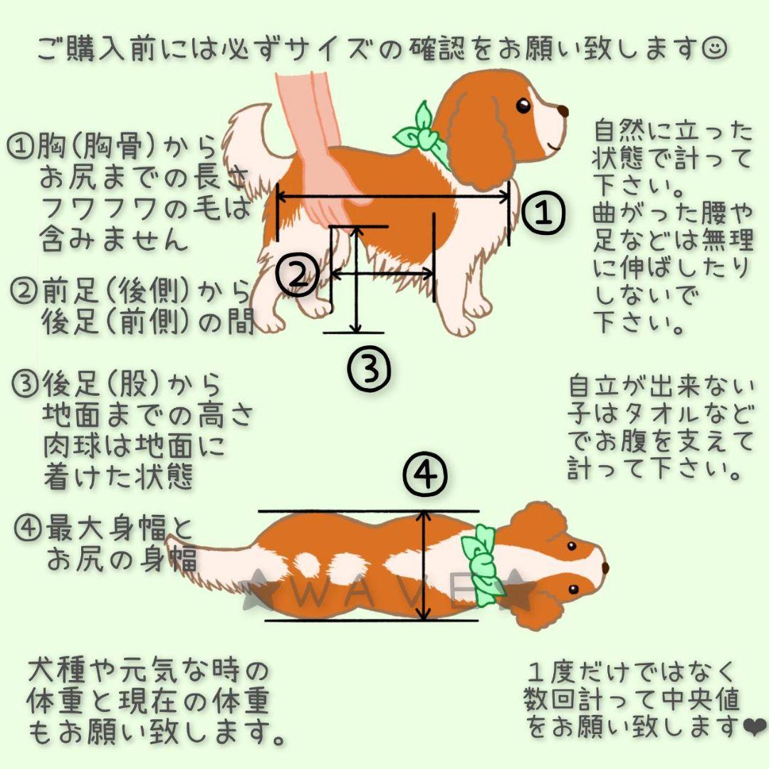 Fuuko　犬用車椅子　犬の歩行器　Мシュナ　犬の車いす　歩行サポート