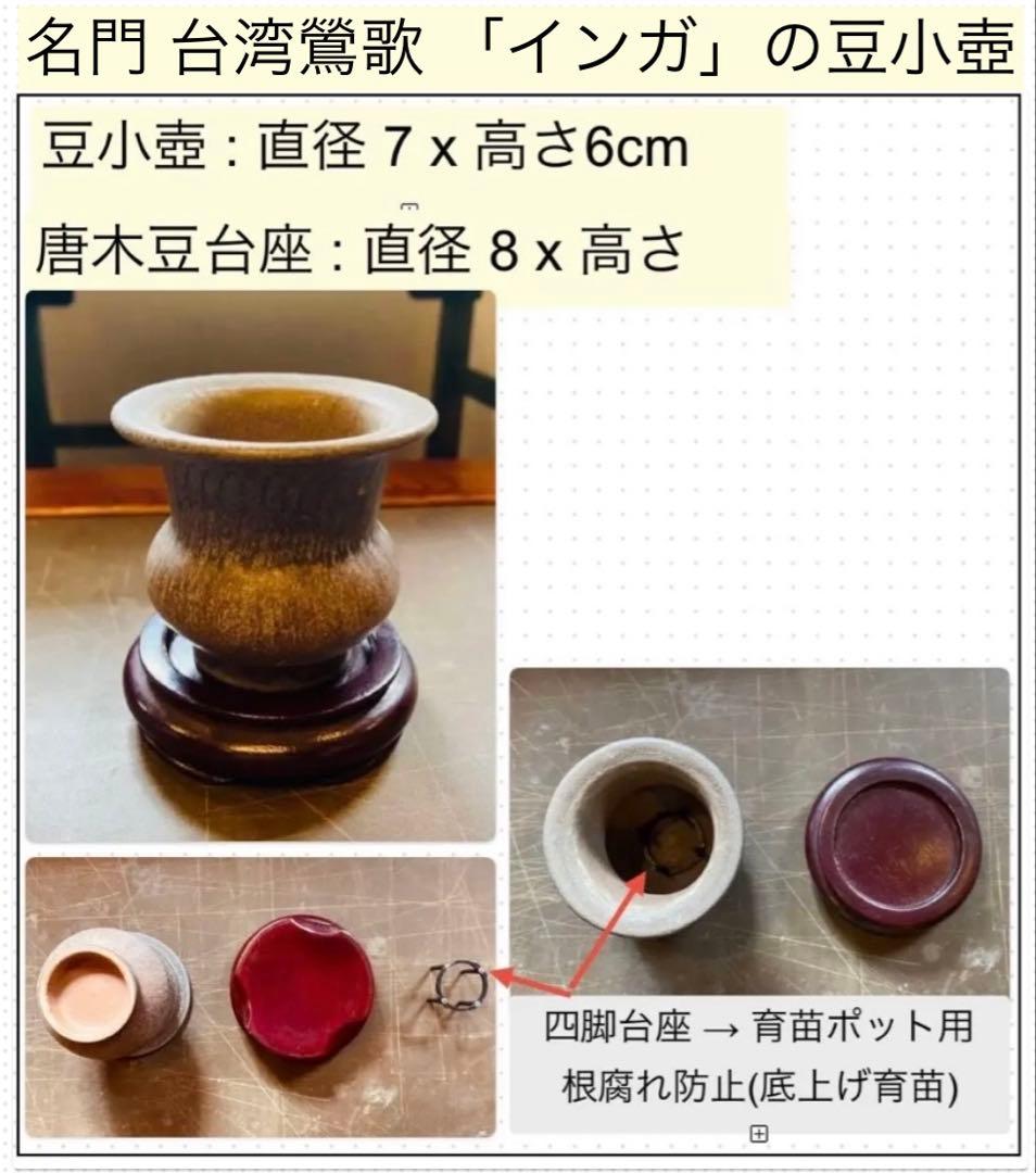 ミニ陶器鉢３点セット・自作付属品付　　一輪挿し・ポット・水耕栽培・観葉　多肉植物