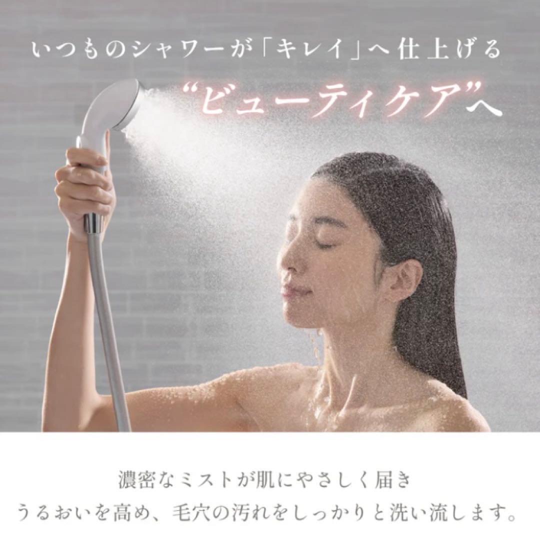 ピュアラスフィニッシュミスト　スターターキット