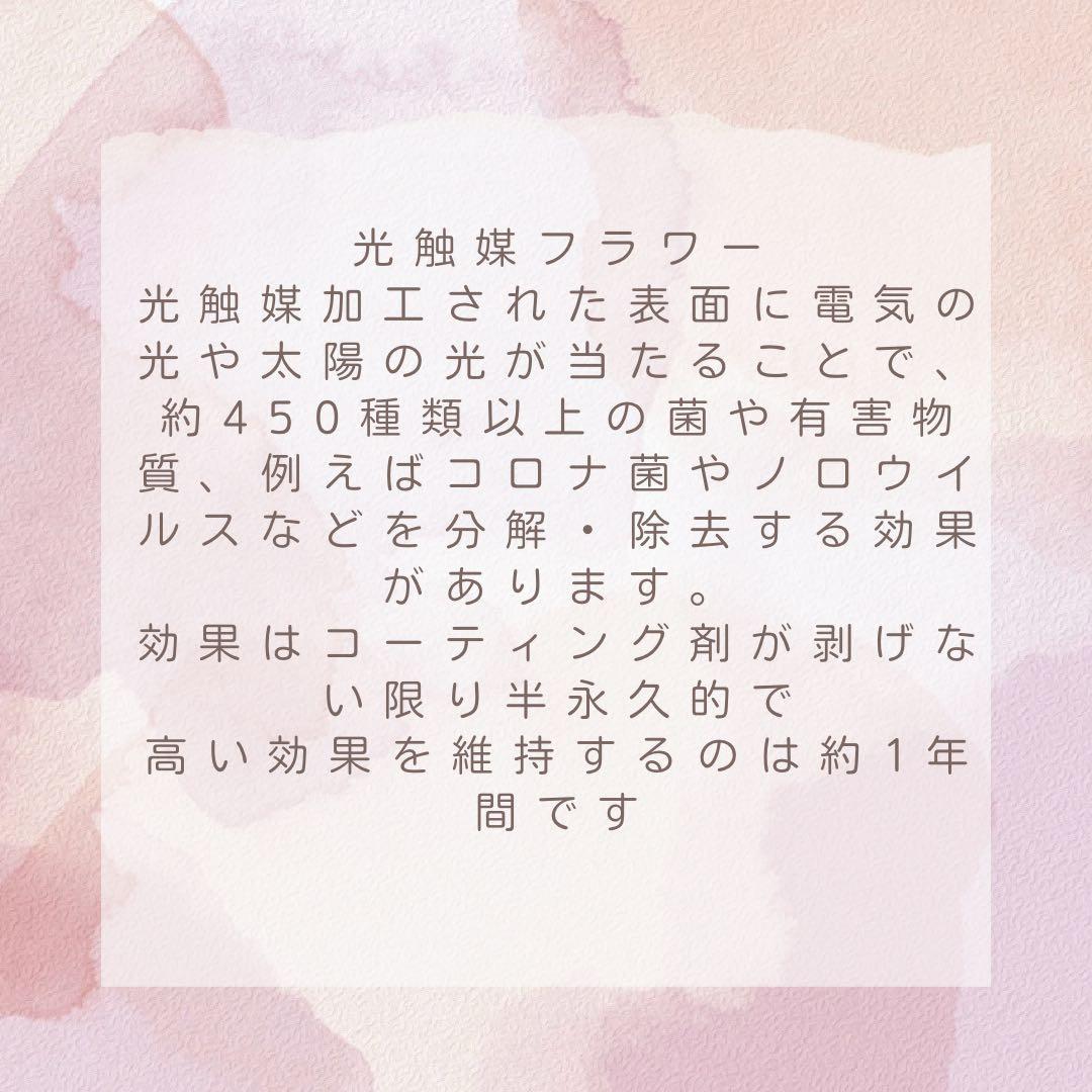 みるきぃまま クラウンベアとピンクローズのクリスマスギフトセット