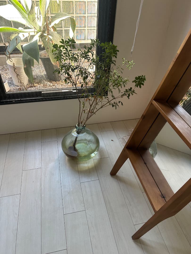 鏡 TRITON MIRROR