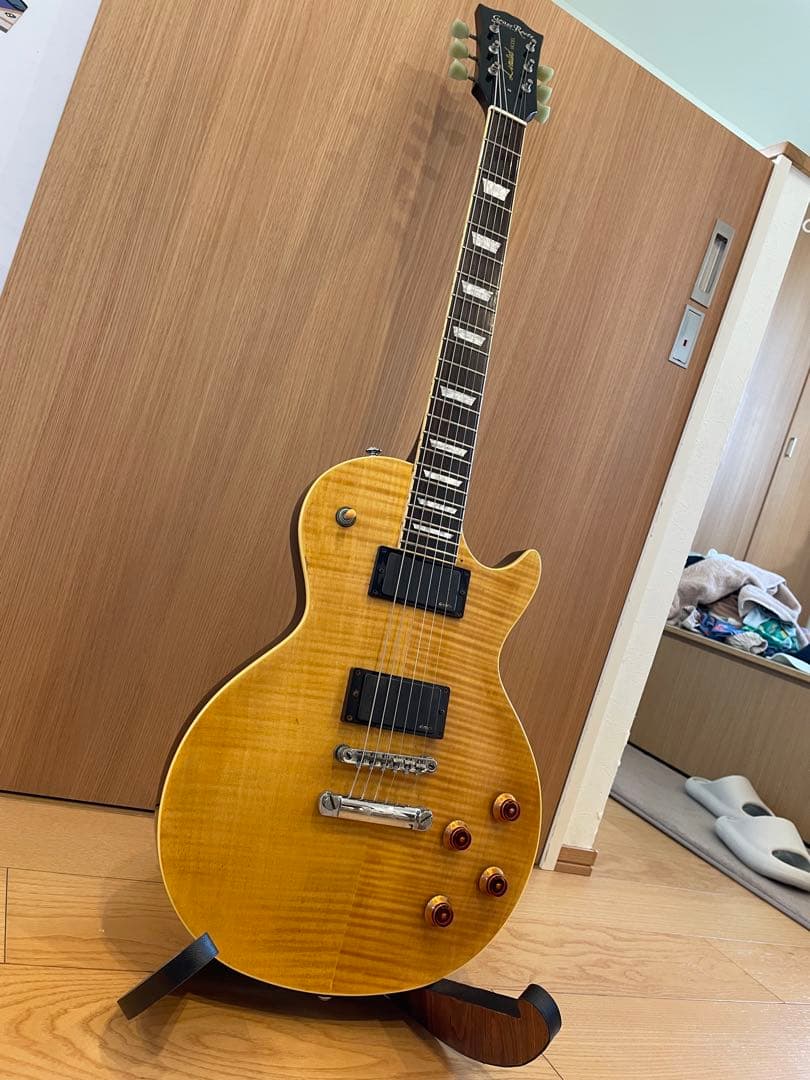 グラスルーツ　リミテッドモデル　EMGピックアップ　ソフトケース付