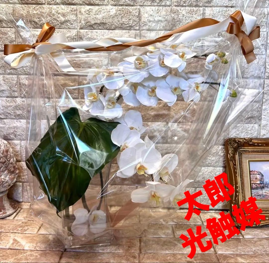 光触媒　観葉植物　フェイクグリーン　エミリオロバ　ファレノプシス4L 胡蝶蘭