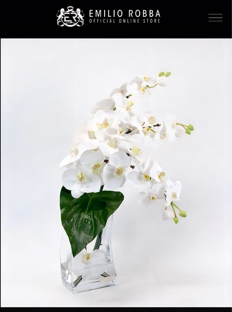 光触媒　観葉植物　フェイクグリーン　エミリオロバ　ファレノプシス4L 胡蝶蘭