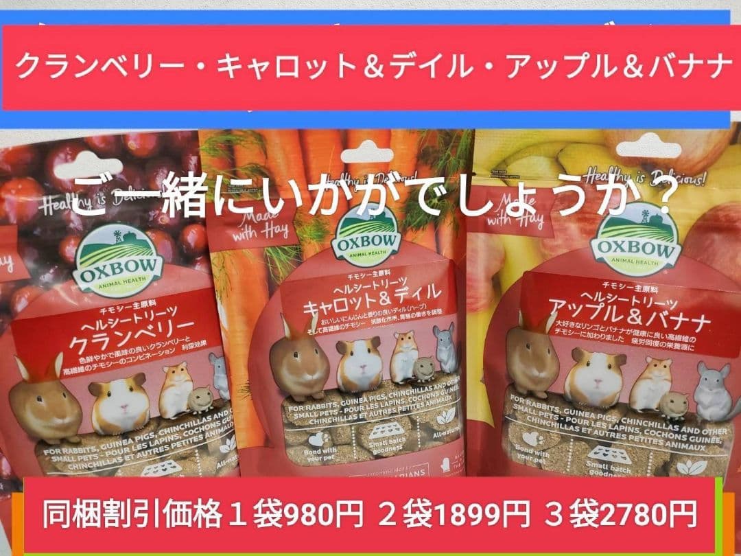【専用】チンチラセレクションプロ600g ×10袋デグーセレクションプロ10袋