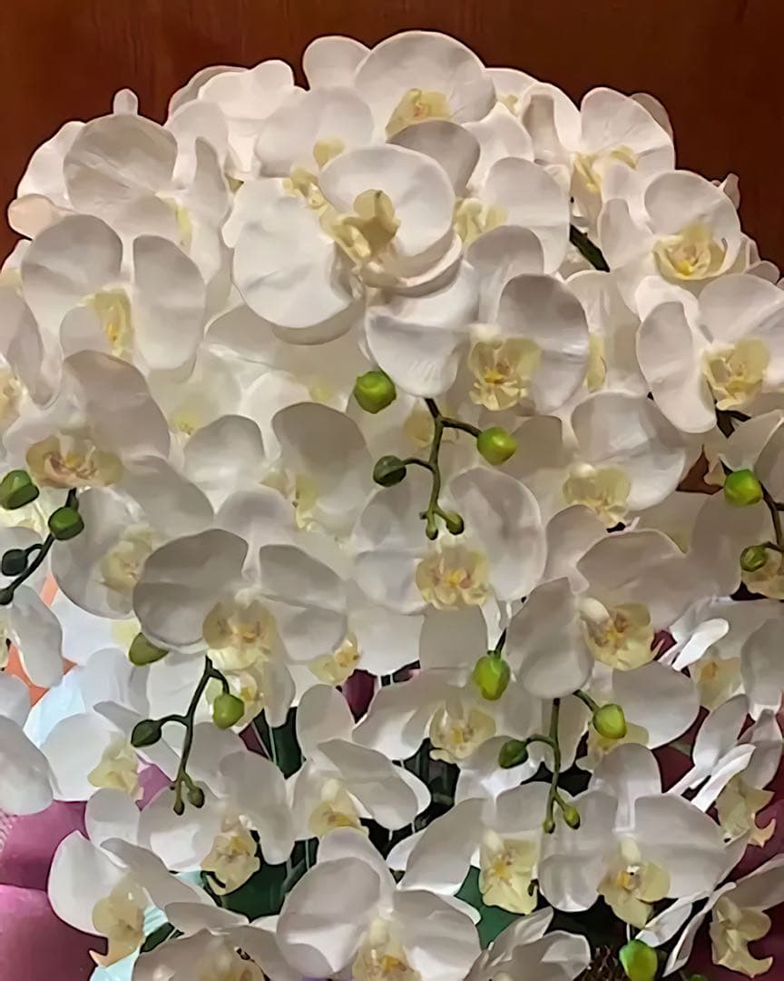 光触媒　人工観葉植物　ウォールグリーン　フェイクグリーン　リアル胡蝶蘭10本