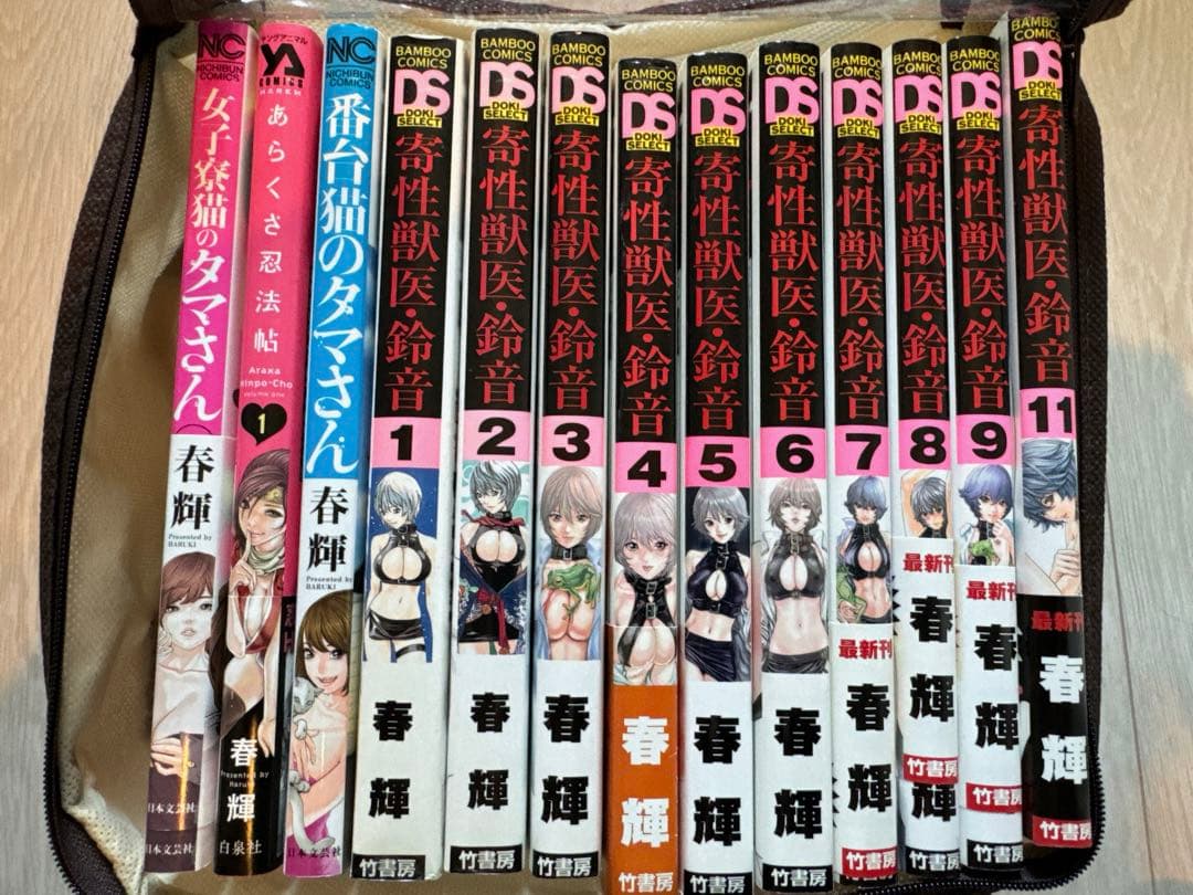 春輝　本46冊
