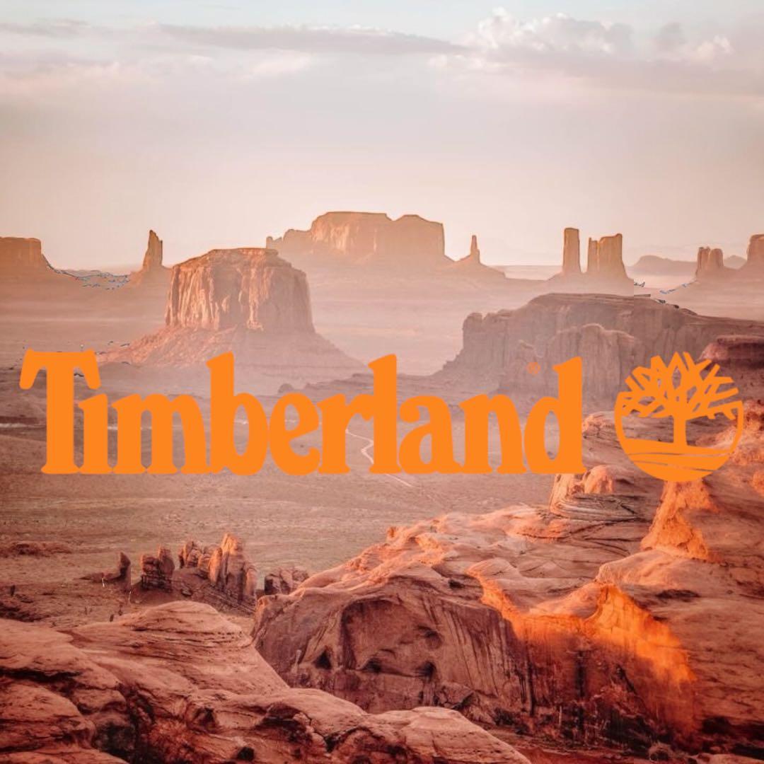 【値下げ中】Timberland ティンバーランド イエローブーツ 28.5cm
