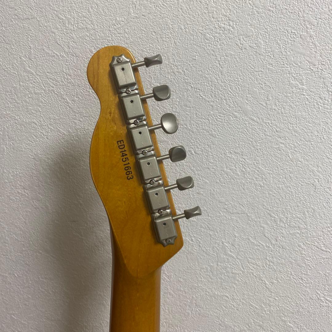 EDWARDS テレギブ　ESP