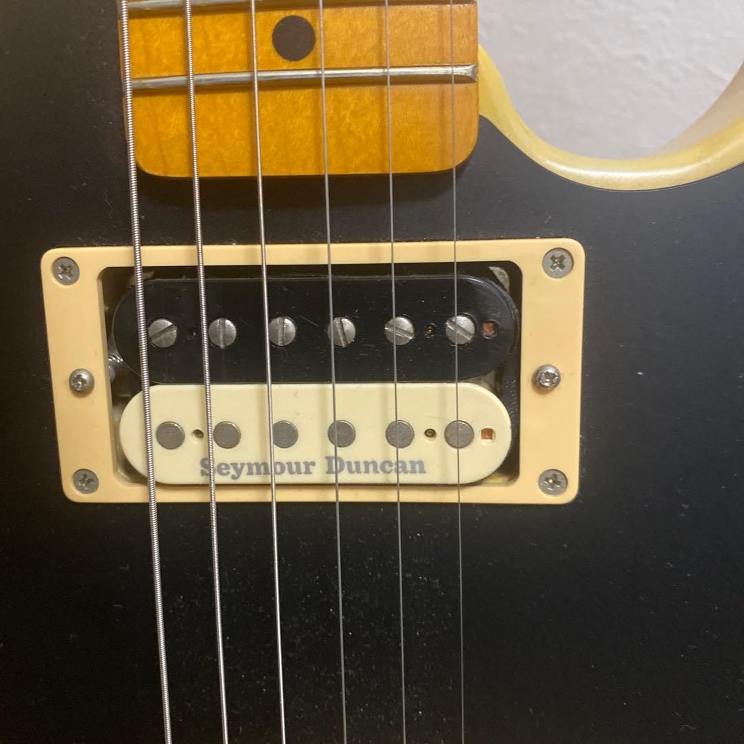 EDWARDS テレギブ　ESP