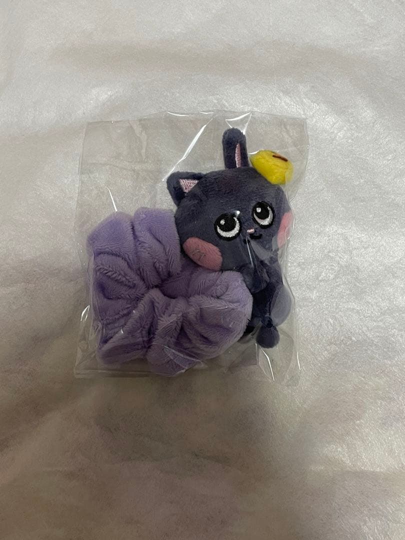 riize ウォンビン ペンライトカバー シュシュ キーリング 3点セット