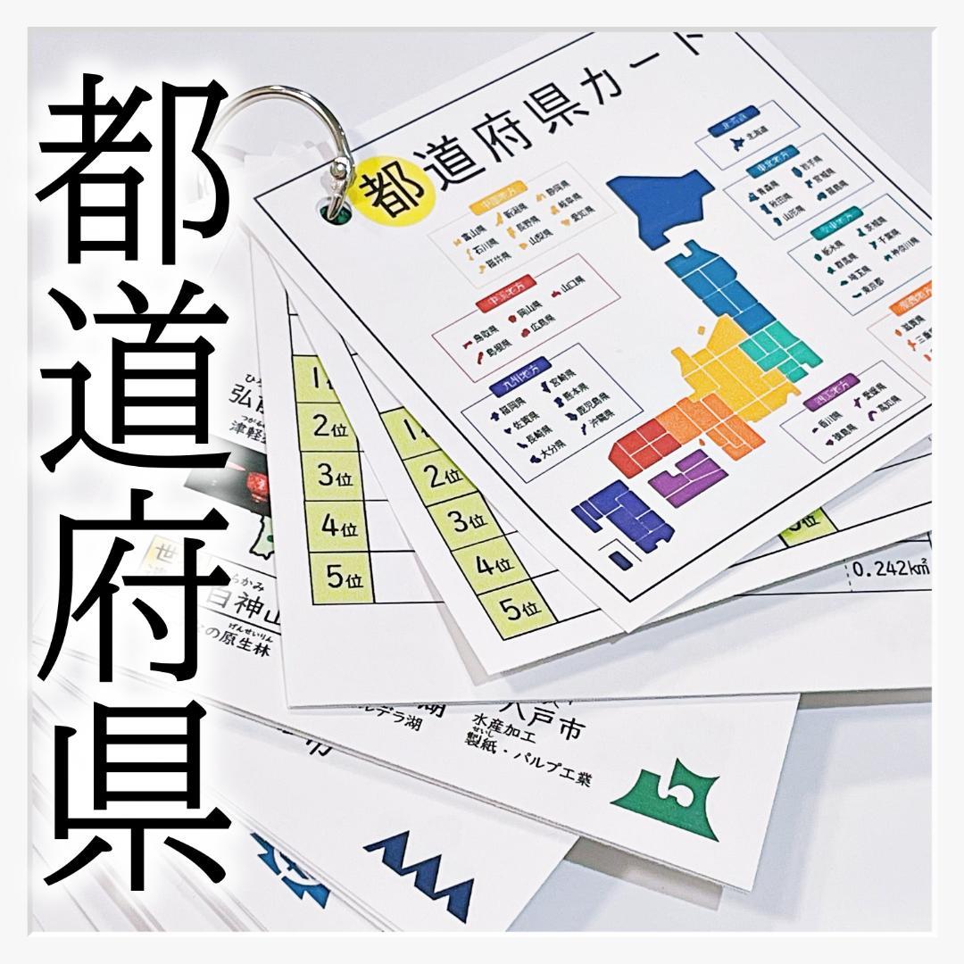 みーまま様 リクエスト 3点 まとめ商品 中学受験　暗記カード