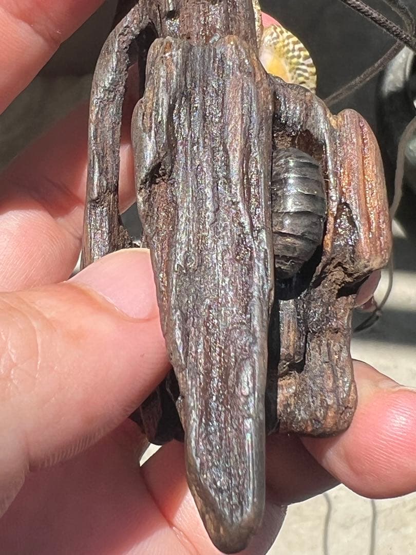 木製虫の置物