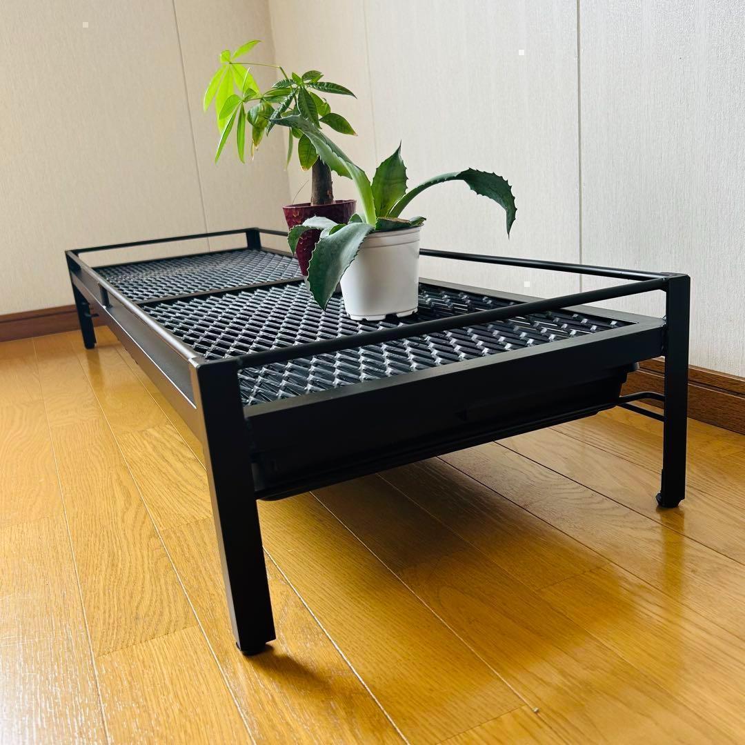 植物棚　シェルフ　アガペラック 124cm x 41cm ダブル受け皿仕様