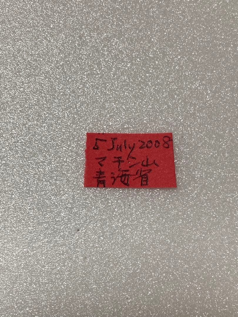 P.mericurius（1オス、中国青海省マチン山）