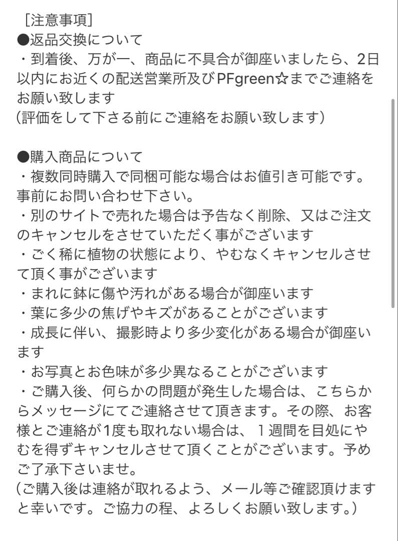 ［現品］【希少】26番　モンステラ　斑入り　7号　レア　観葉植物　室内　大型