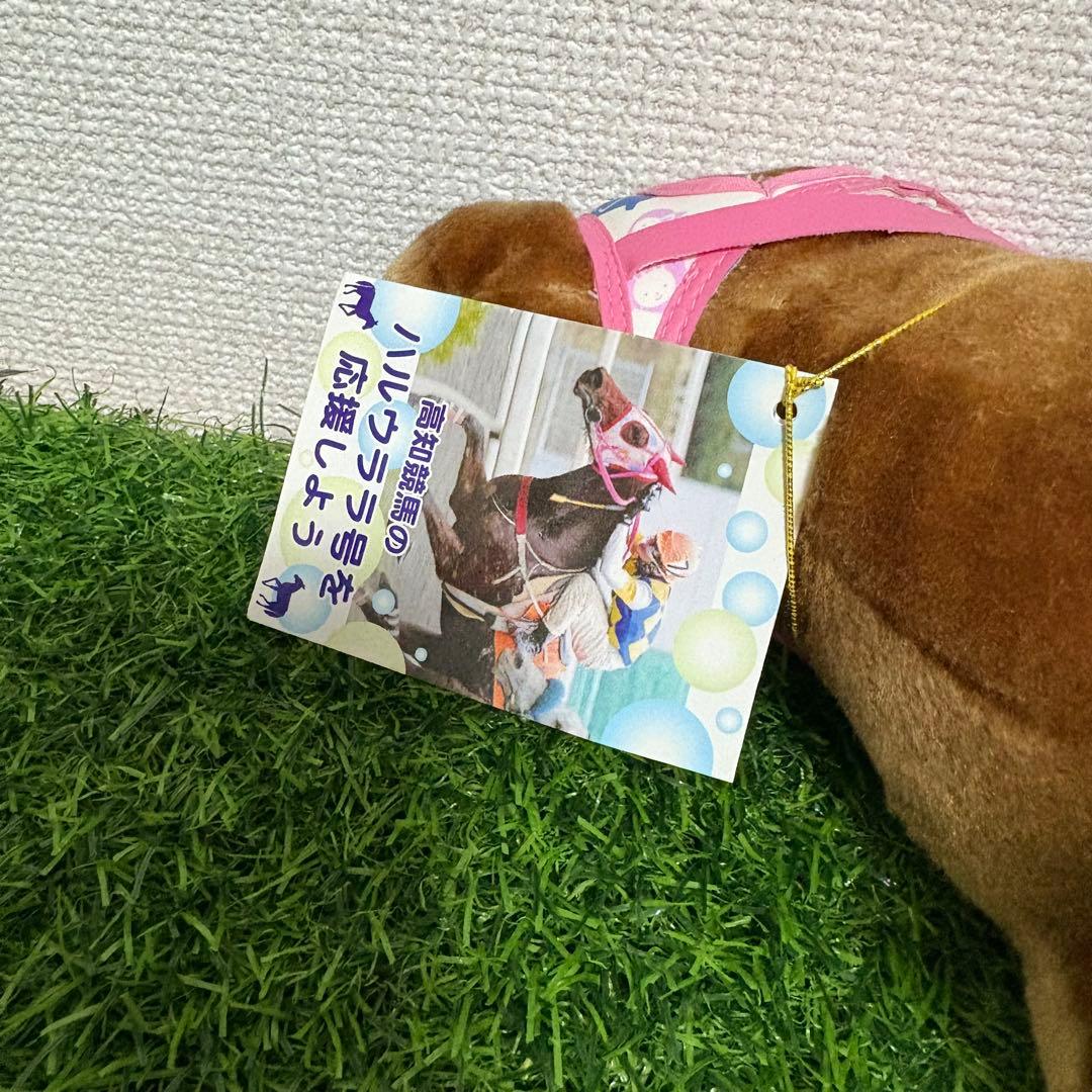 ハルウララ　ゼッケン無し　高知競馬　ぬいぐるみ　応援タグ&単勝タグ付き　非