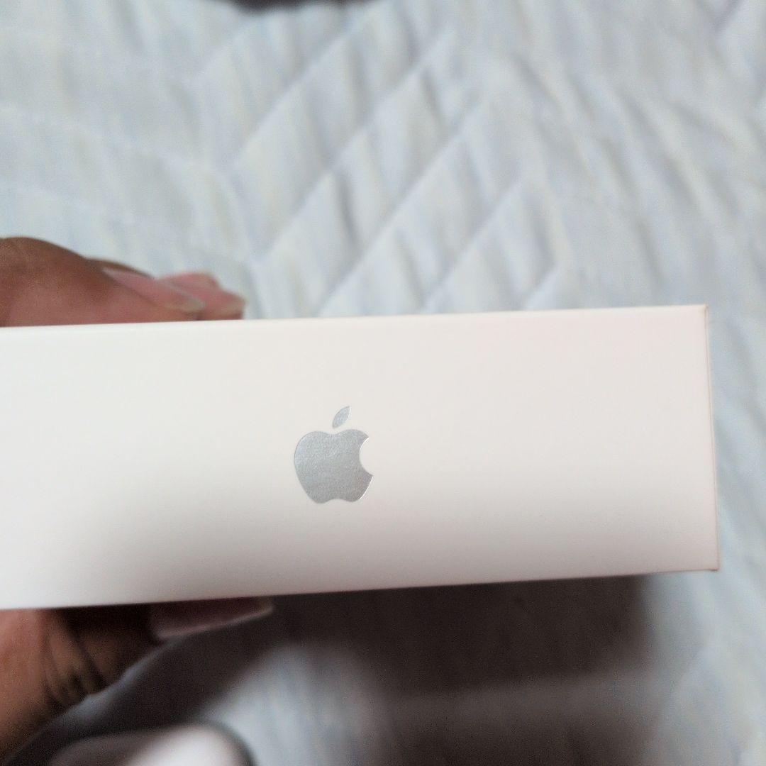 Apple AirPods本体