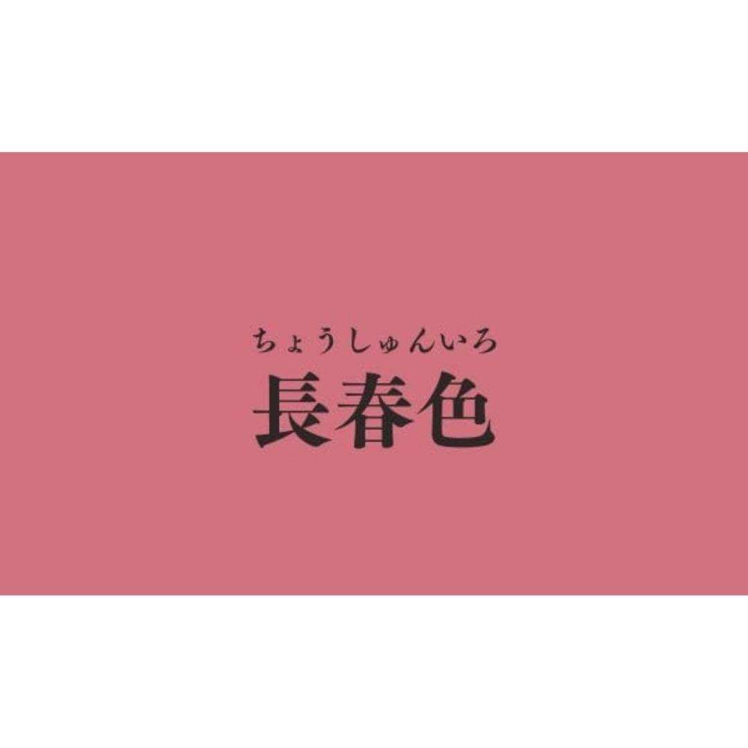 Y240 正絹 訪問着 作家物 フルセット 身丈157 裄丈68