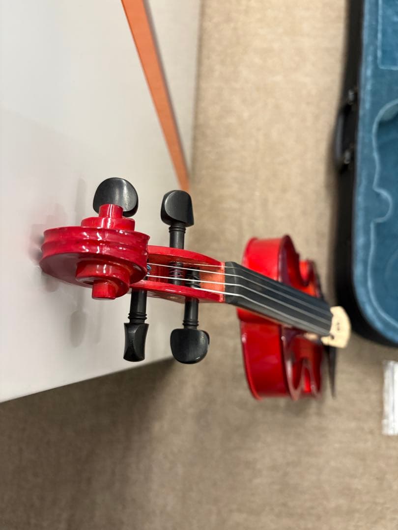 Carlo Giordano カルロジョルダーノ EV-202 エレキバイオリン