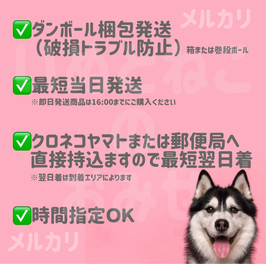【小粒】6kg★BLISMIX ブリスミックスドッグ チキン