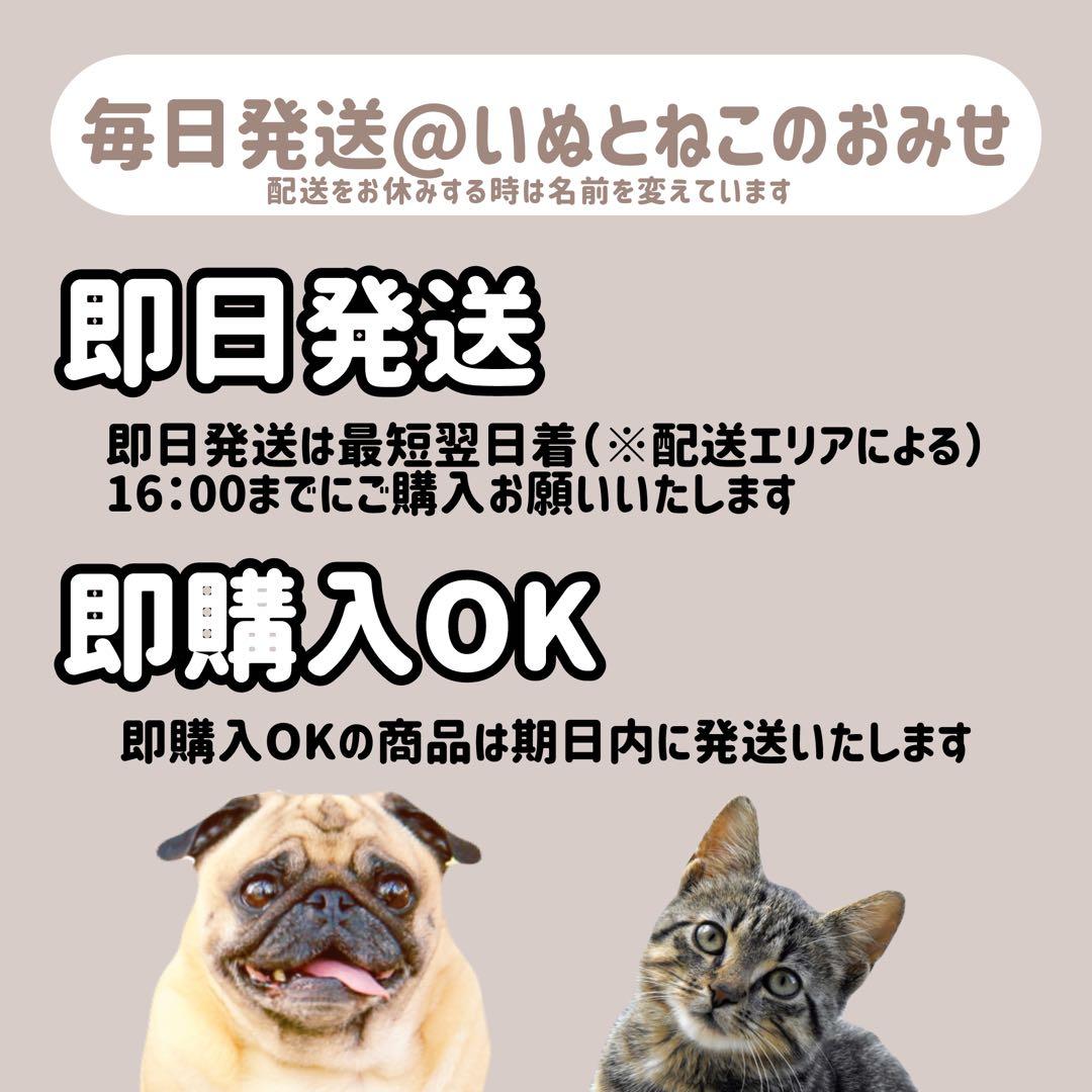 【小粒】6kg★BLISMIX ブリスミックスドッグ チキン