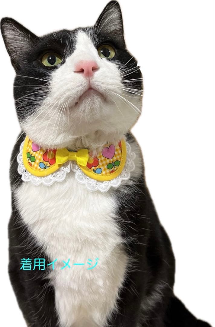 えり付き首輪(ギンガムチェック ピンク いちご鈴付き) Ｎｏ．198-780