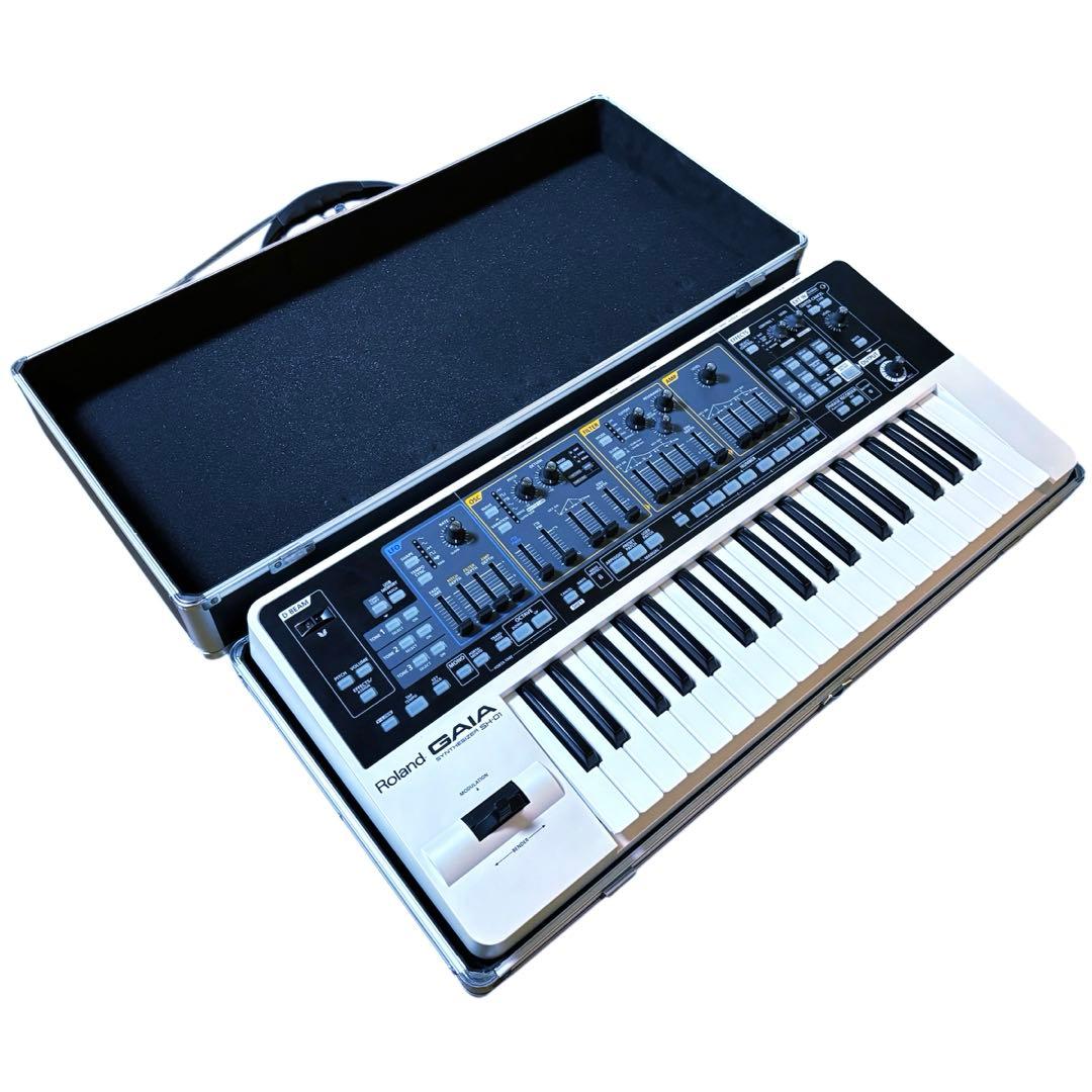 T*I様 【廃盤・美品】ROLAND GAIA SH-01 ハードケース スタン