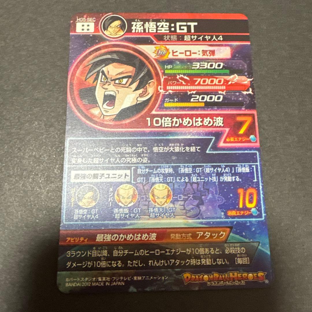HG5-SEC 本家