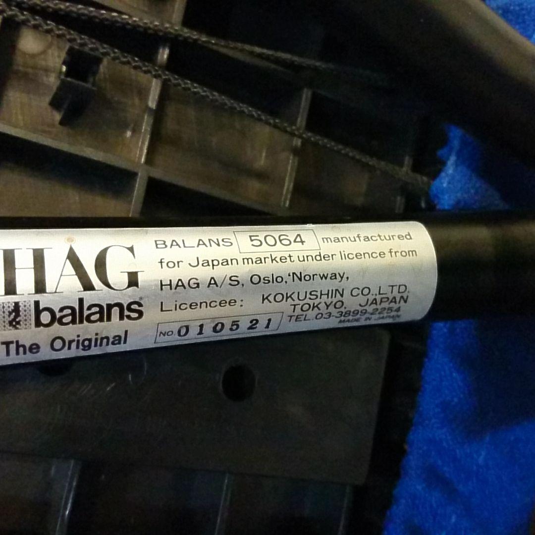 ★バランスチェア・腰痛 姿勢 改善 用★HAG balans正規品