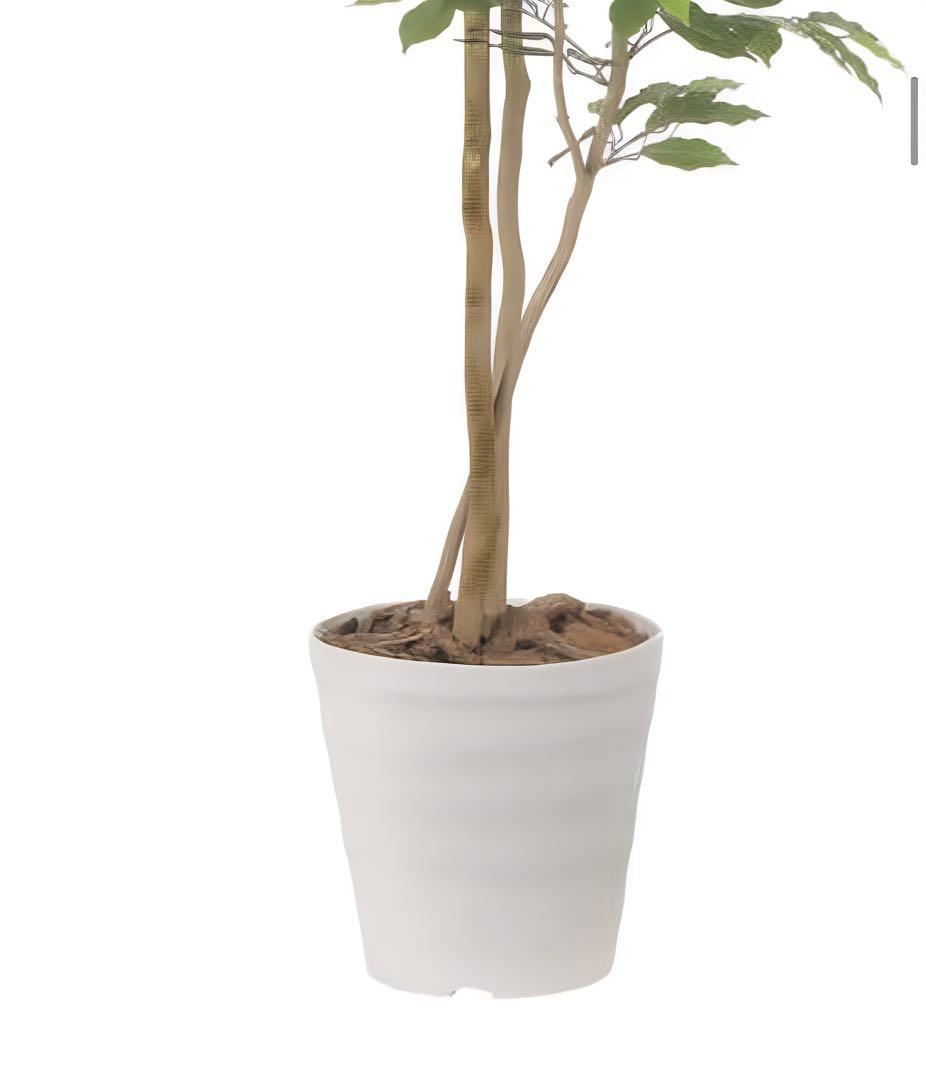 光触媒　人工観葉植物　フェイクグリーン　デザインベンジャミン1.6
