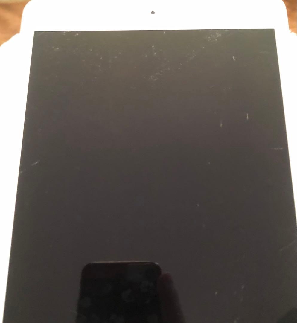 【1/2販売終了】iPad mini5 64GB SIMフリー 【すぐ発送】