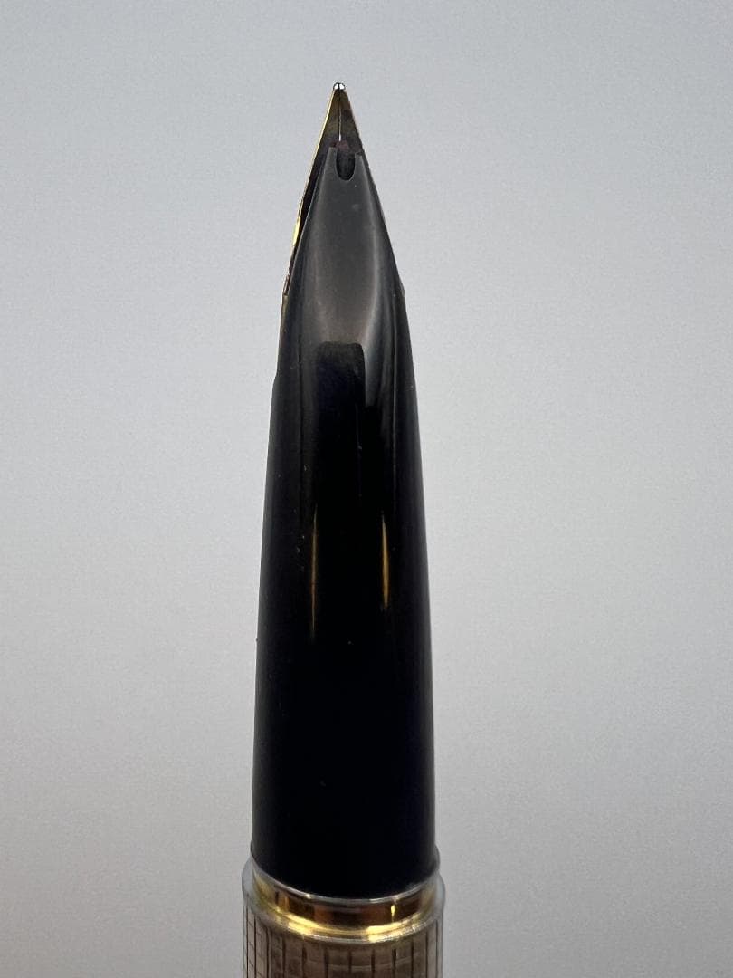 【海】パイロット スターリングシルバー 万年筆 大型ペン先/18K-750