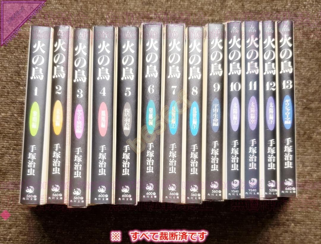 ●DVD 魔法使いと黒猫のウィズ ライブコンサート 2018 +2019 初回版