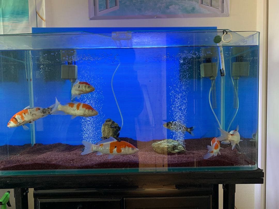 水槽コトブキ　90cm