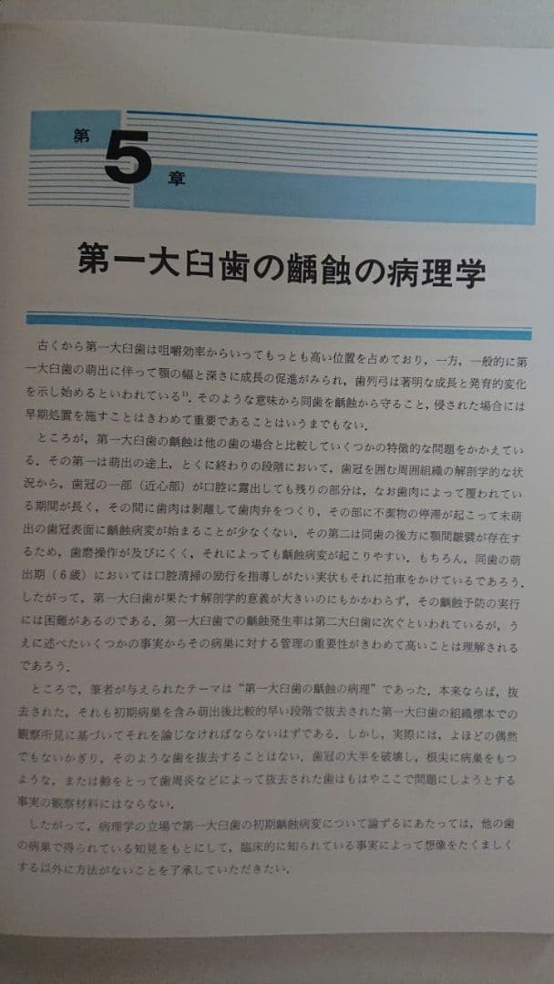 第一大臼歯
