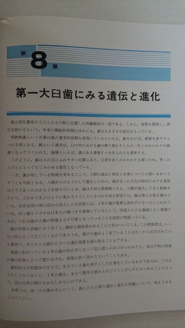 第一大臼歯
